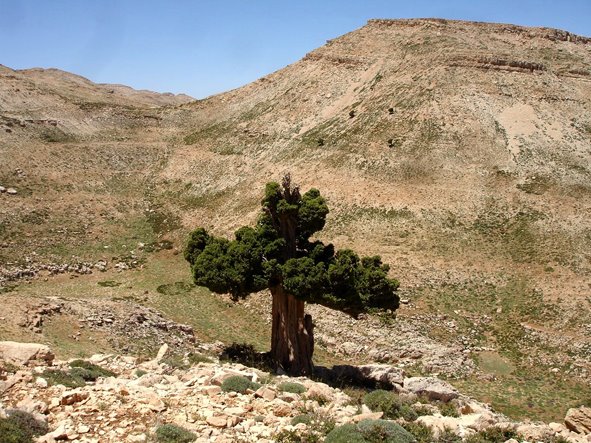 Wadi nebaa tawil-jroud danniye by nayla merheb