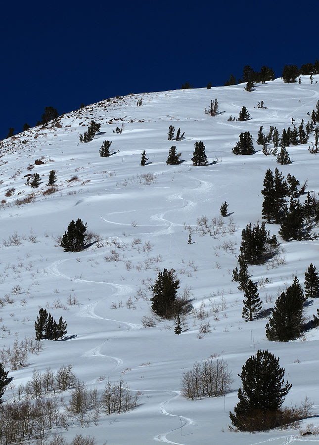 Leaving Tracks Down Tamarack Peak by Umiyama 海山