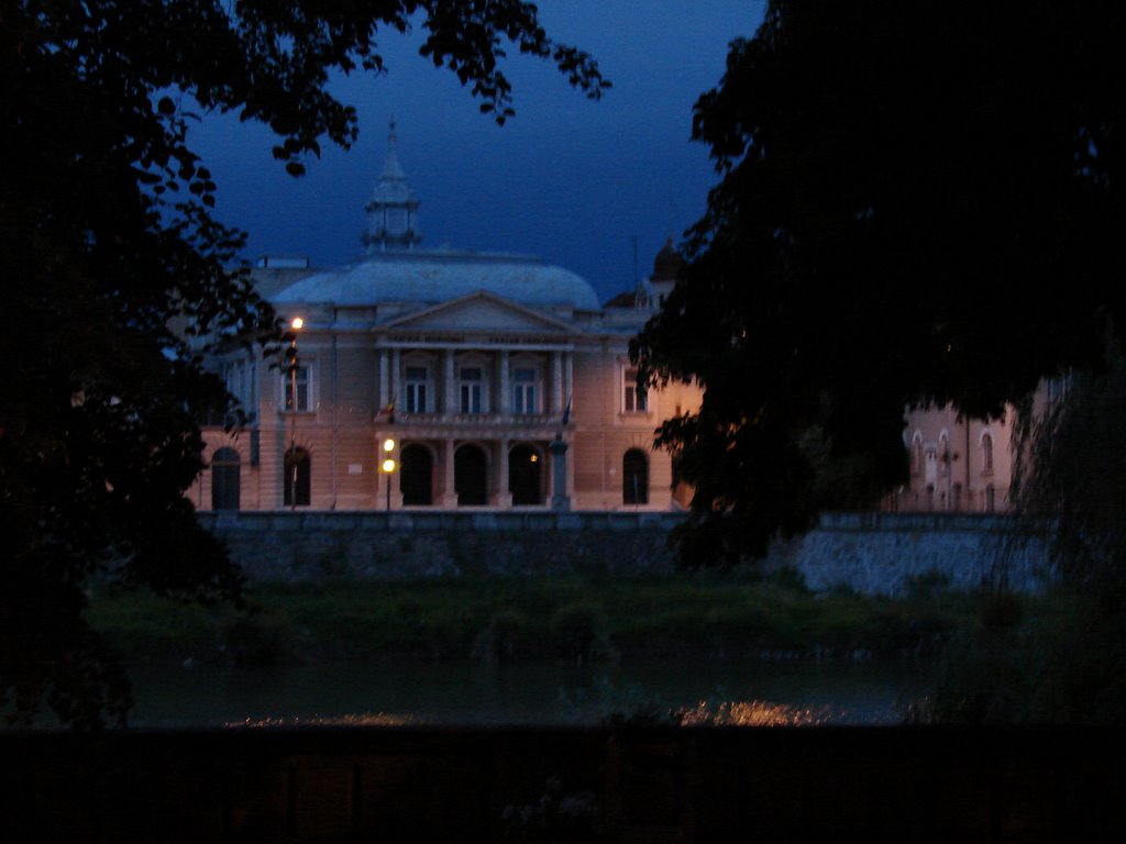 Lugoj theatre by night by notme