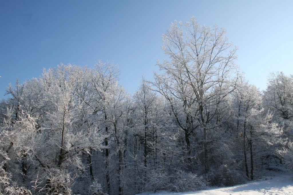 Snow along the "Panoramica" by lorenza.piretta