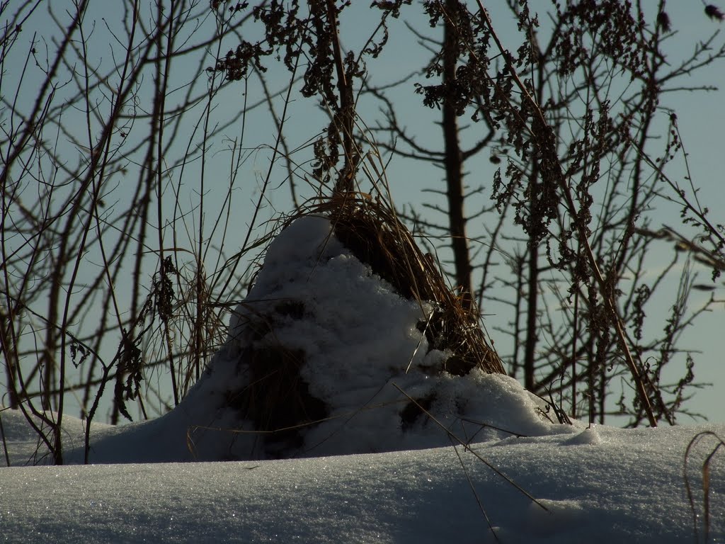 Kleiner Hügel im Schnee by Thomas S. aus G.