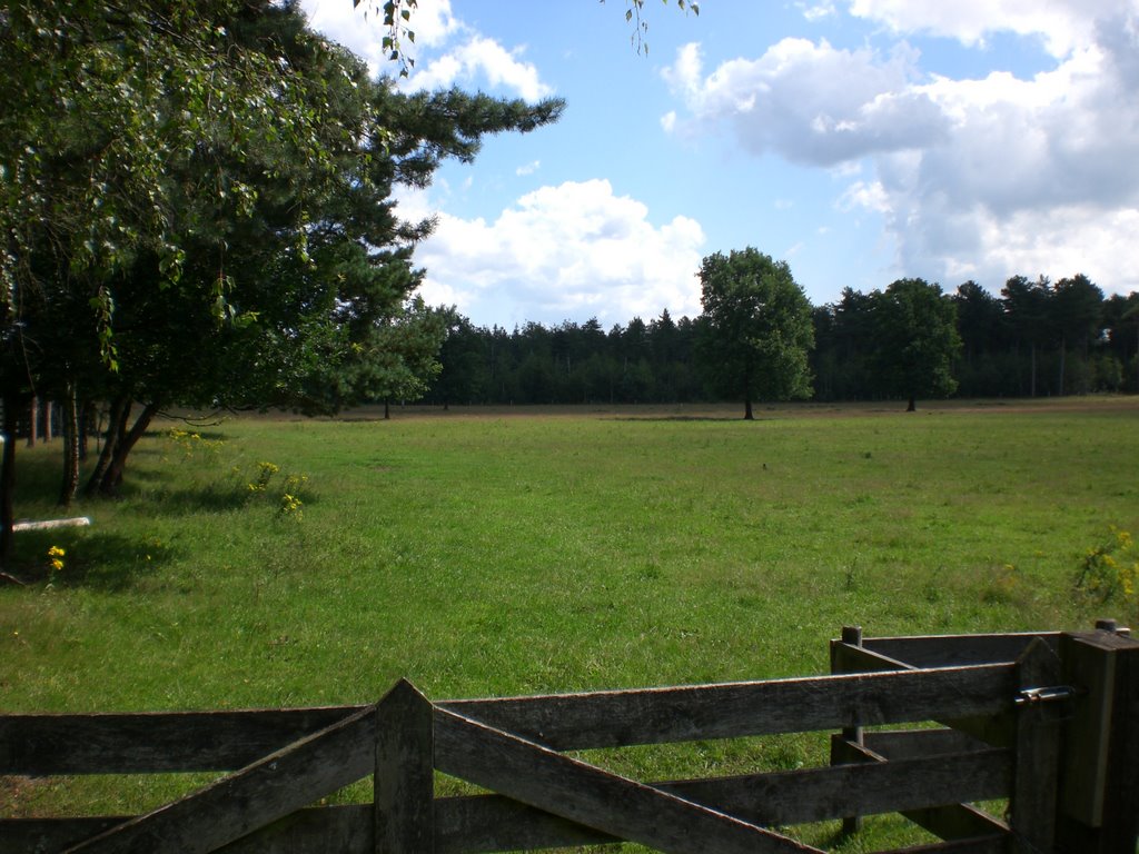 Wezepse Heide by Jos Müller