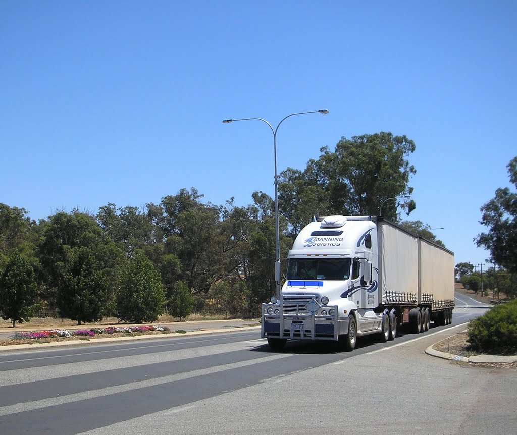 "Long Vehicle" Truck by sugarbag1