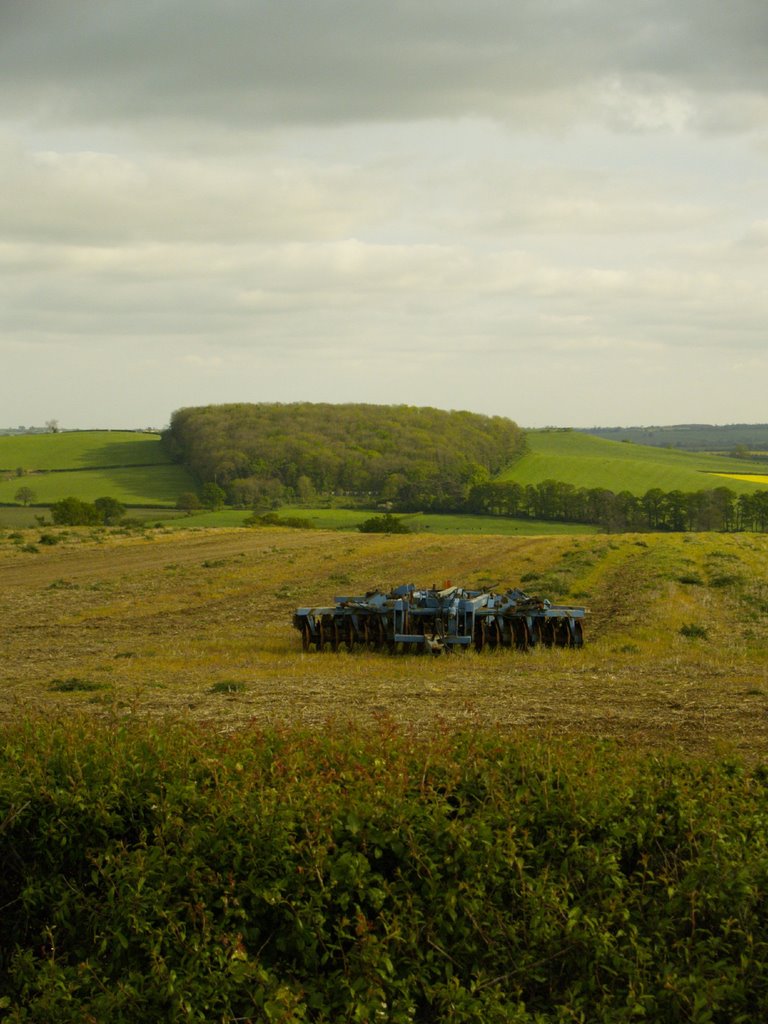 Near Little Brington Northamptonshire by Simon Latcham