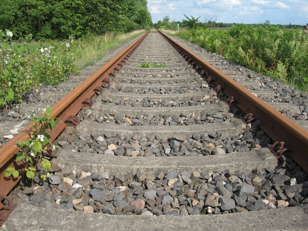 Bahnschienen kurz vor Sprakebüll2 by UNissen