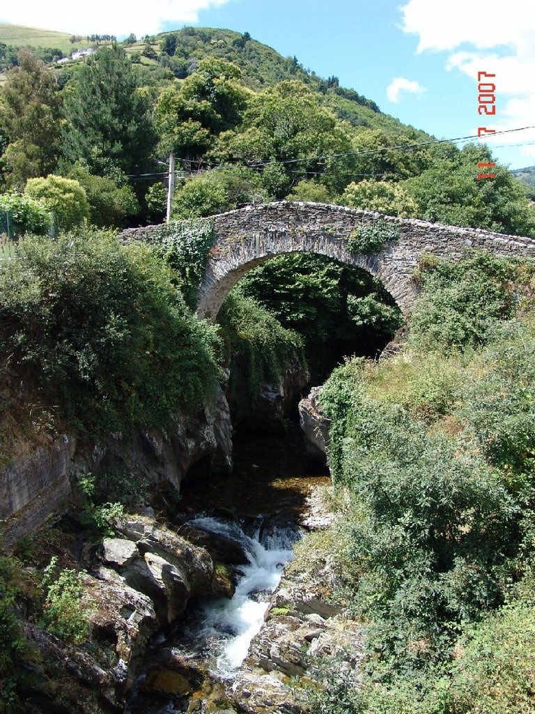 Puente medieval sobre el rio Coto by Jesús González