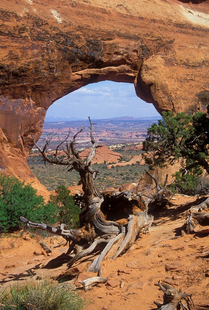 Partition Arch in Arches NP Utah (2005) by Attila Szücs