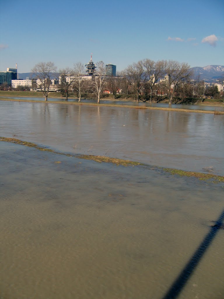 Sunny Sunday 26 (River Sava overflowing 4) by Miroslav Komar