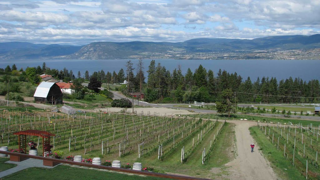 Summerhill Winery & Lake Okanagan by Øystein Espelund