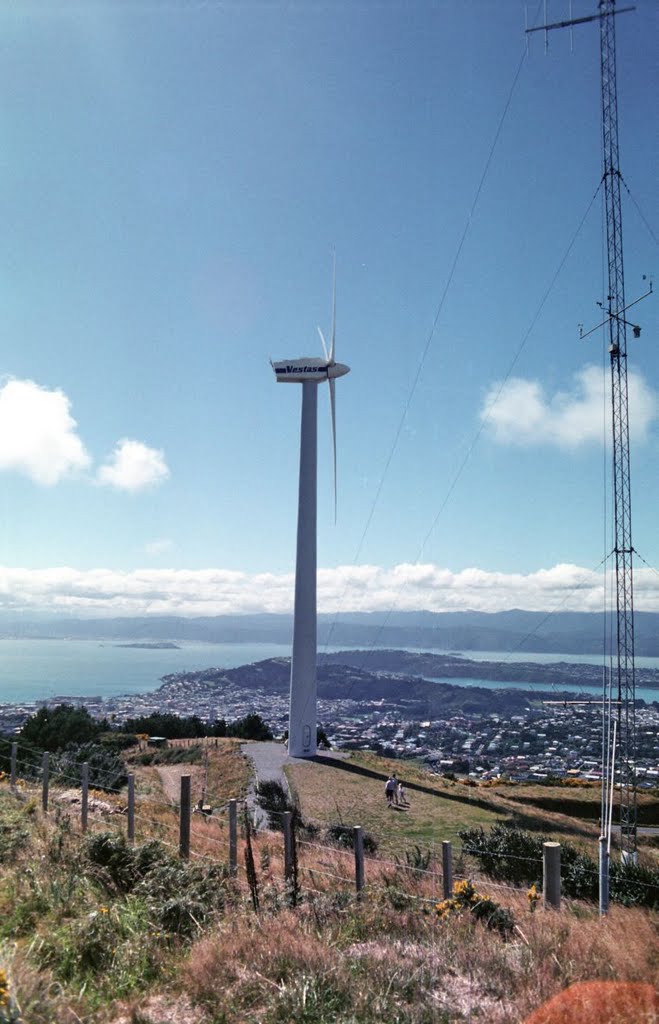 Brooklyn Wind Generator by MBagyinszky