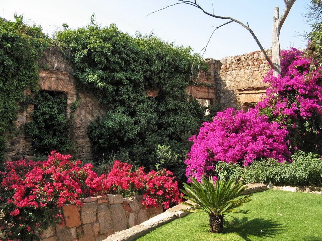 Colourful flowers in the garden of church ruins by fotokönig