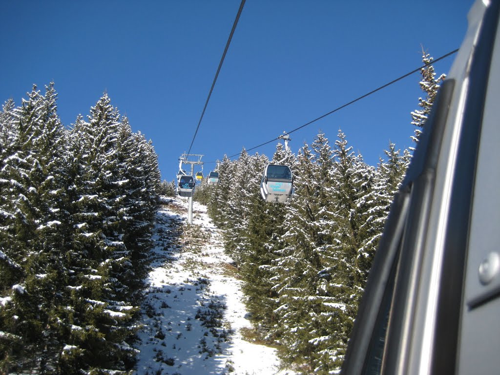 Die längste beleuchtete Rodelbahn der Welt - Bramberg am Wildkogel - Bild 3 by rentable