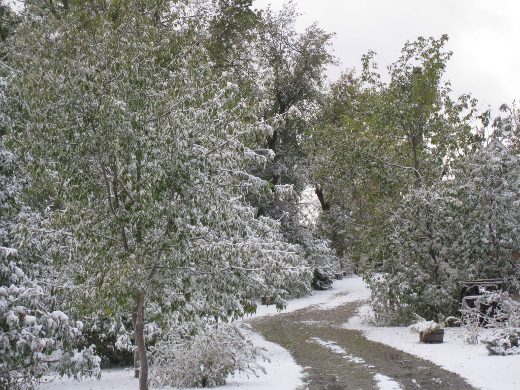 Our Winter Lane by Duke Andrich