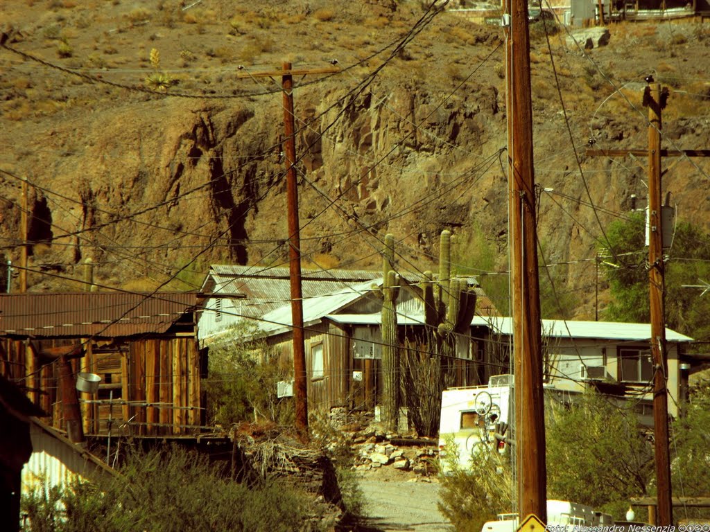 Arizona - Route 66 - Oatman by Alessandro Nessenzia