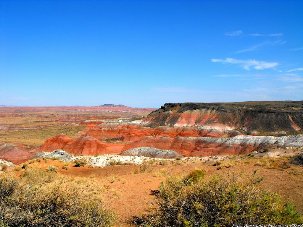 Arizona - Painted Desert by Alessandro Nessenzia