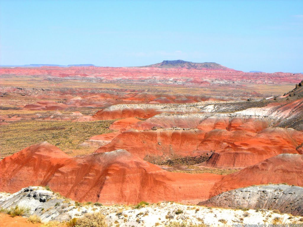 Arizona - Painted Desert by Alessandro Nessenzia