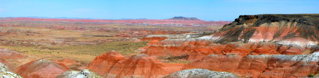 Arizona - Painted Desert by Alessandro Nessenzia