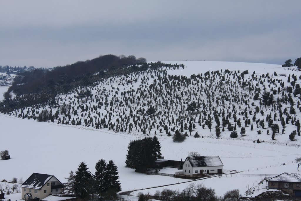 Wacholderschutzgebiet Alendorf by clgilles