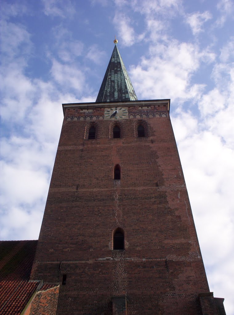 Uelzen, Turm der St. Marienkirche 06/05 by Perdido Anima