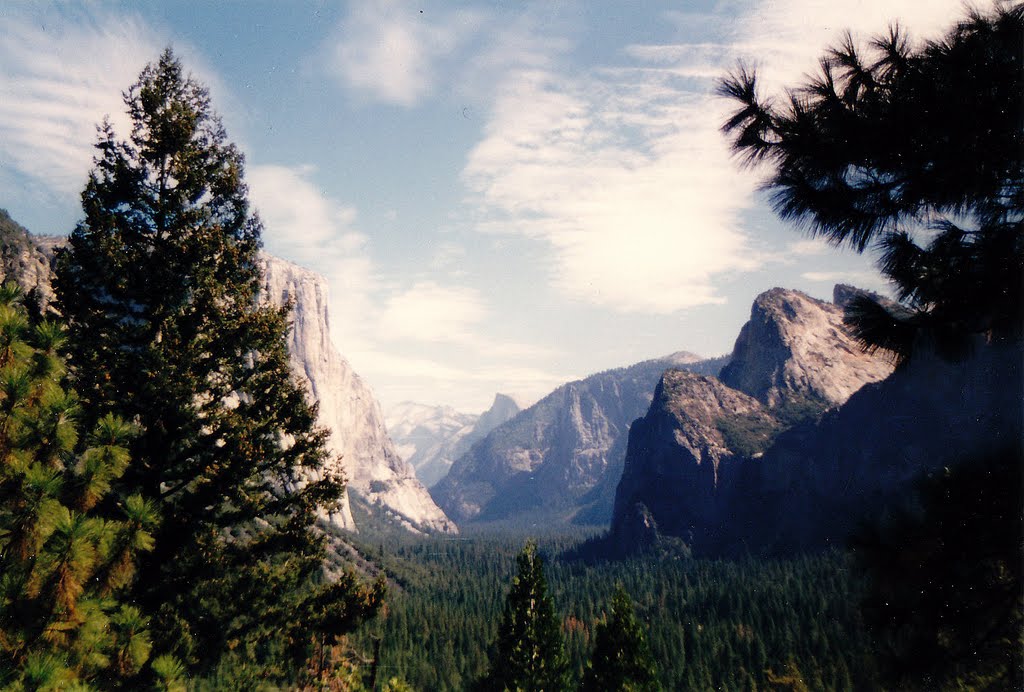 Yosemite Vally / Yosemite Nationalpark Kalifornien USA (1980) by Cimhtur (Mic R.)