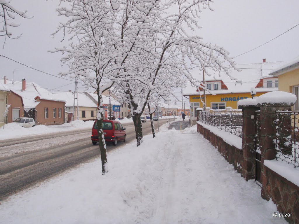 Winter walk VIII. by László Pazár