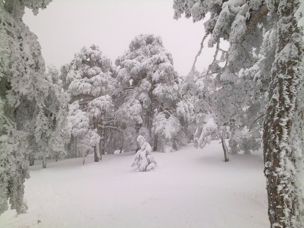 Navacerrada Invierno Febrero 2010 by Nightfall