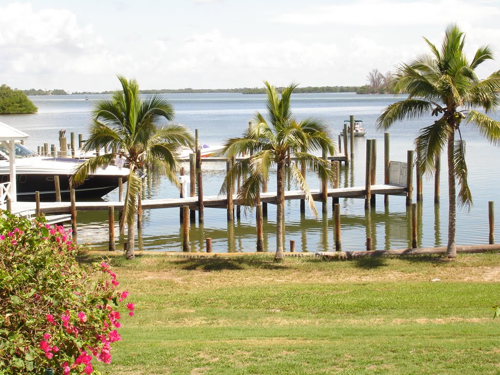 CABBAGE KEY by cjtill