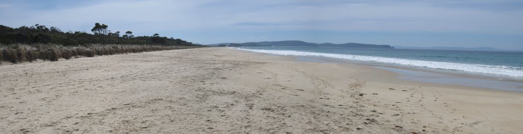 Bruny Island Beach by chs058