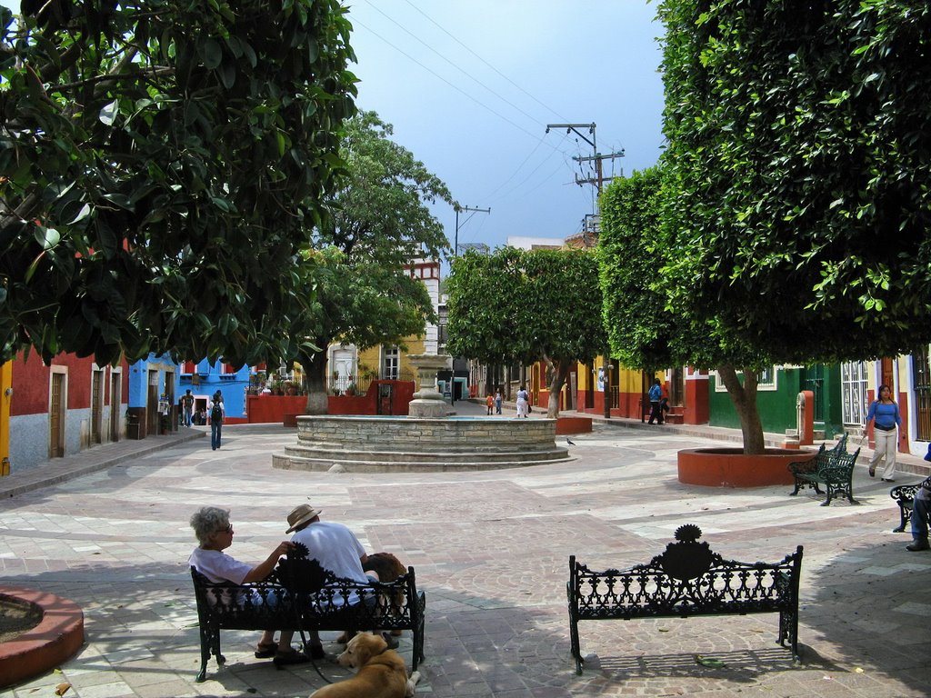 A small plaza with trees and a fountain by fotokönig