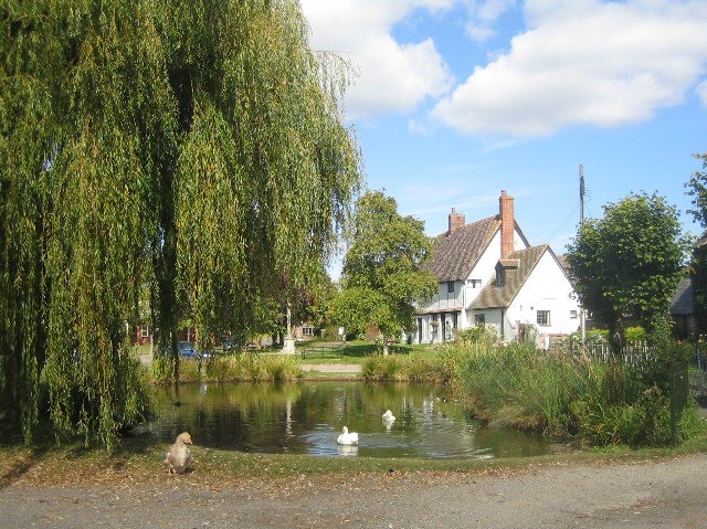 The village pond, Childrey, Oxfordshire by Roger Sweet