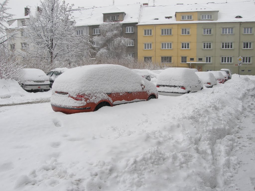 Lednová sněhová kalamita, 2 (Snow-calamity in January) by MAPP HUDRANS