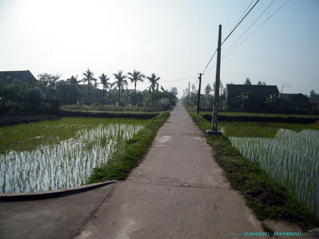 Đường liên thôn - Nga Sơn by Vietnam Atlas