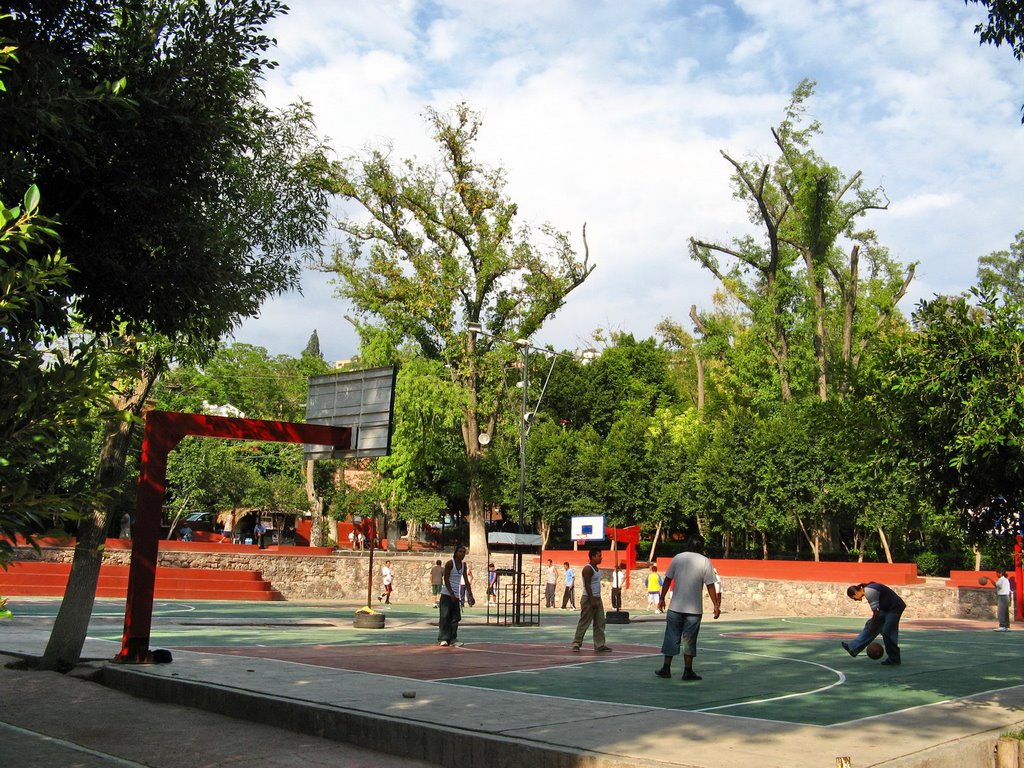 A basketball court in the park by fotokönig