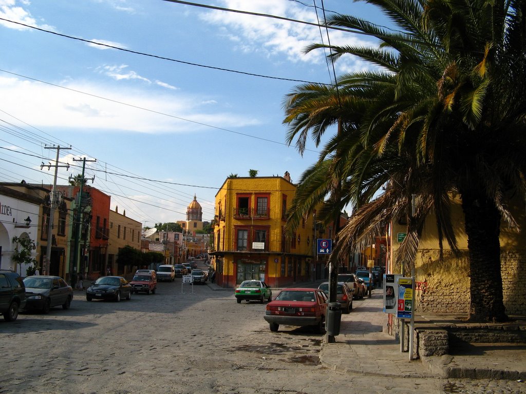 Big palm tree and a church in the distance by fotokönig