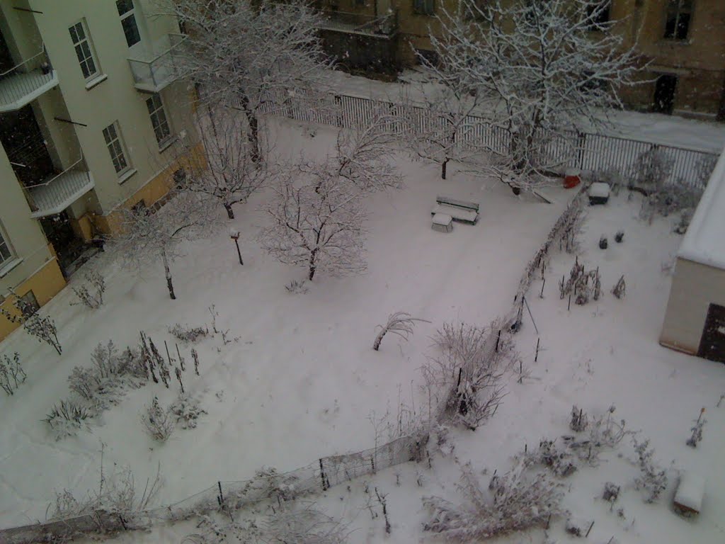 Jan2010.Capkova 8, backyard1 by IGRA4A