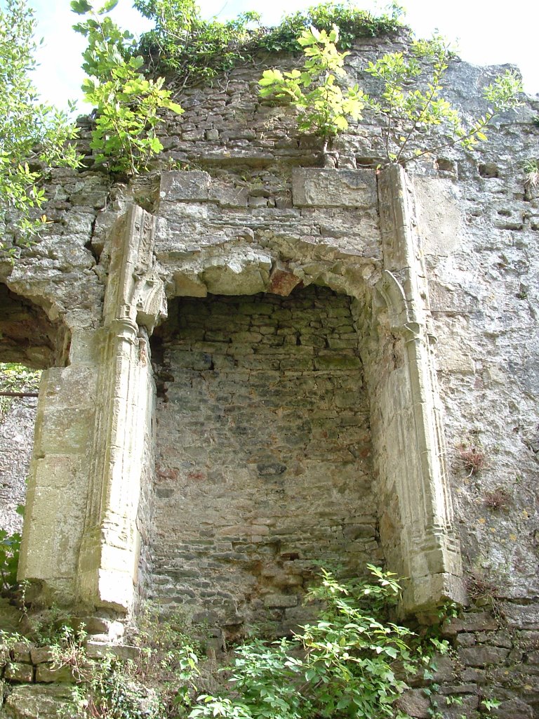 fireplace Candleston Castle by snashtastic