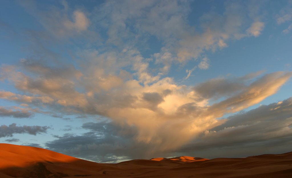 Amanecer entre las dunas by Troy