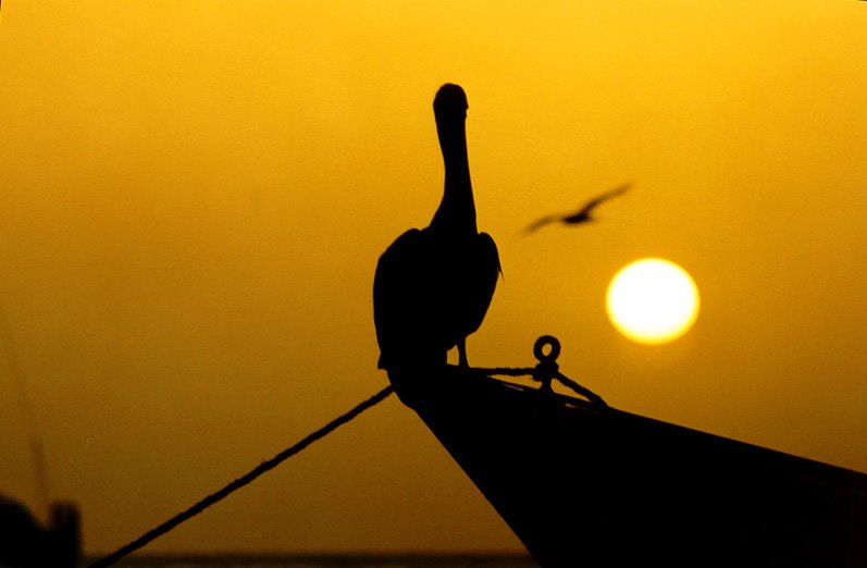 Atardecer en Los Roques by Troy