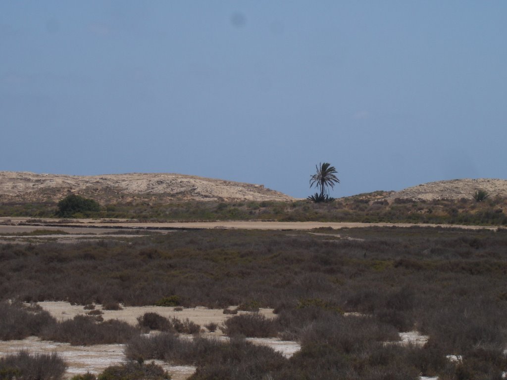 CALBLANQUE 13 JUL by glorieta