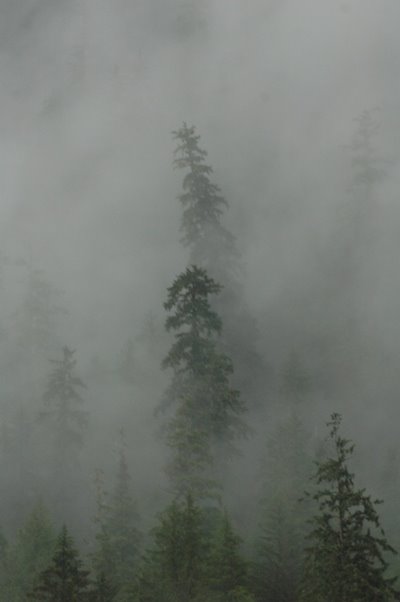 Misty Fjords National Park by Broughtonr