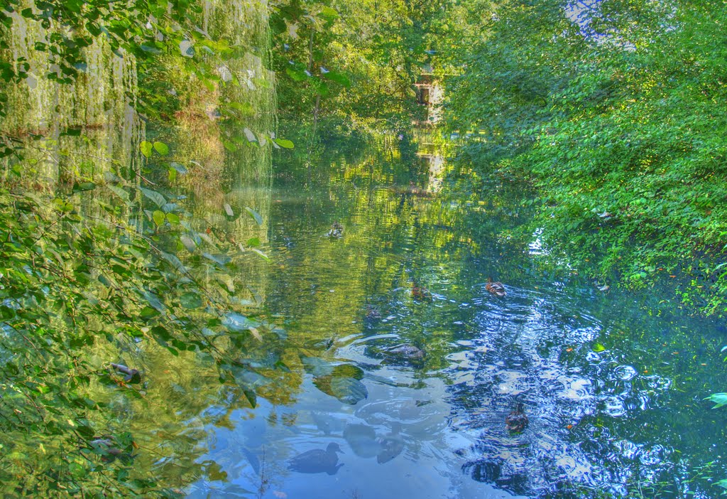 HDR Foto: Park in Volksdorf by Patchworkfan