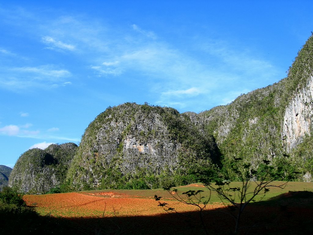 VINALES PINAR DEL RIO by kuvanito