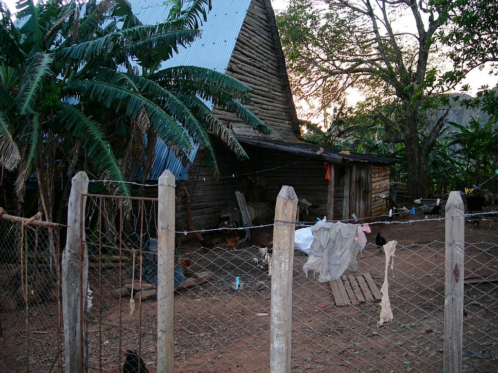 VEGA DE TABACO, CUBA by kuvanito