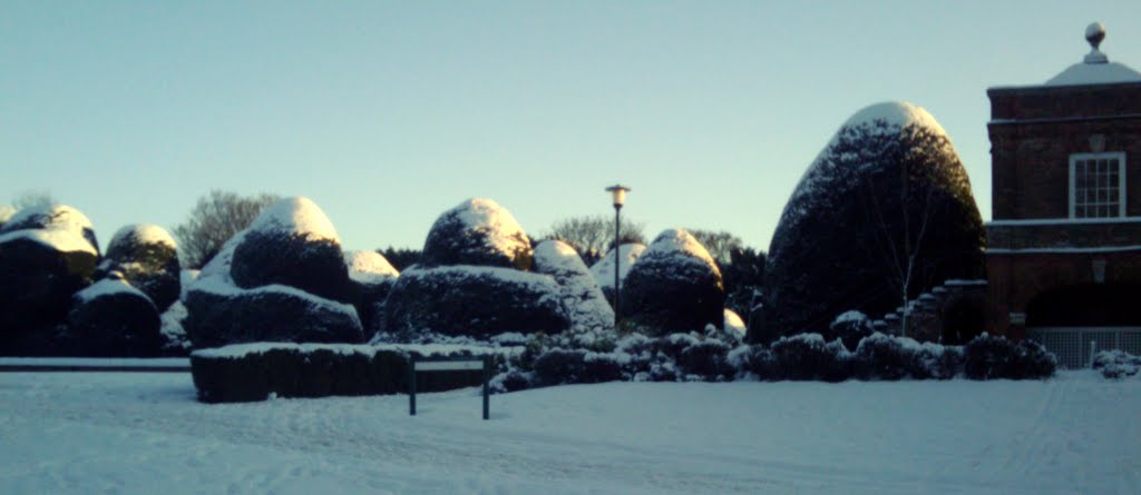 Giant Rocks take over by tom.h