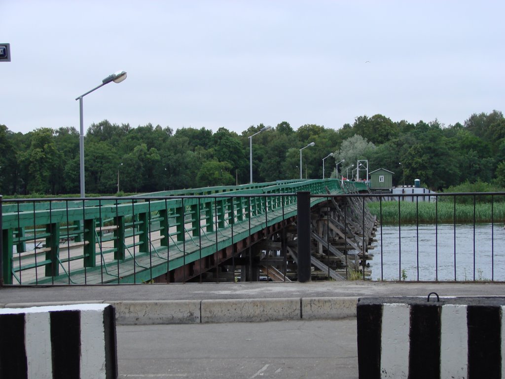 Bolshoy Petrovsky bridge and the Krestovsky Island by greyriver