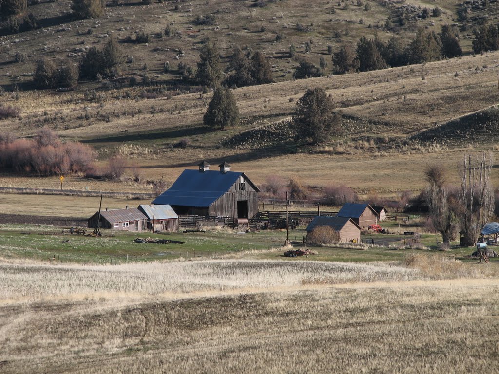 Barn between Fossil and John Day Fossil Beds, Clarno Unit by jlcummins