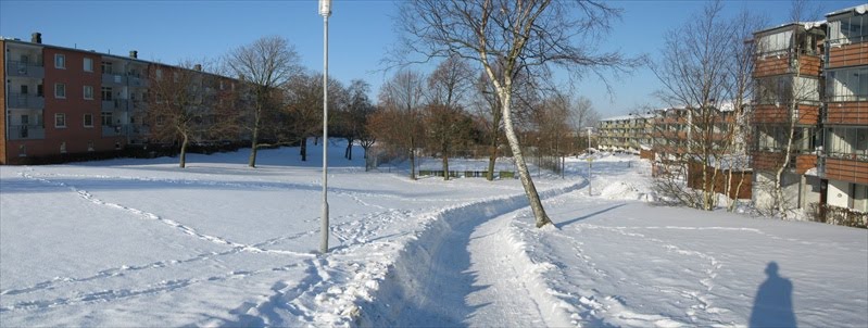 Daggdroppegatan, Göteborg (2010) by Biketommy