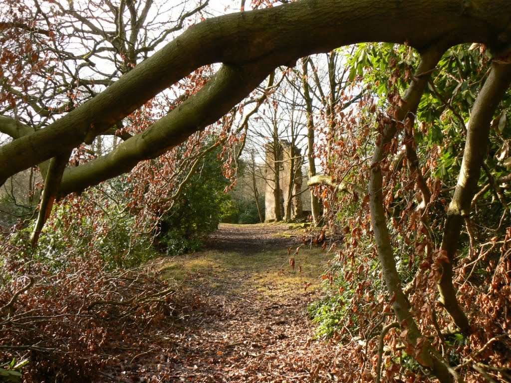 Ruins of Fielden house by jimmy-walton