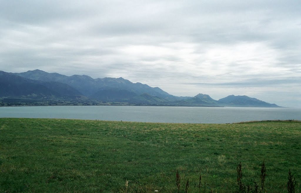 North Bay at Kaikoura by MBagyinszky