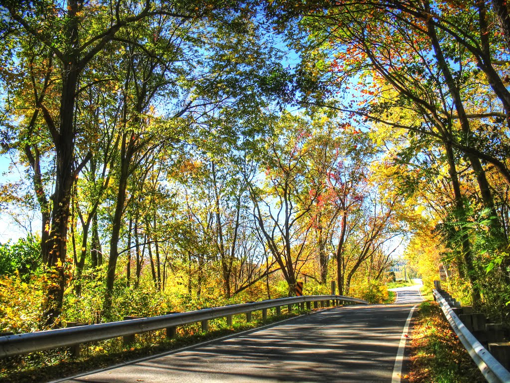 Fall Colors Near Hillsboro (HDR) by DarkLordofDebate